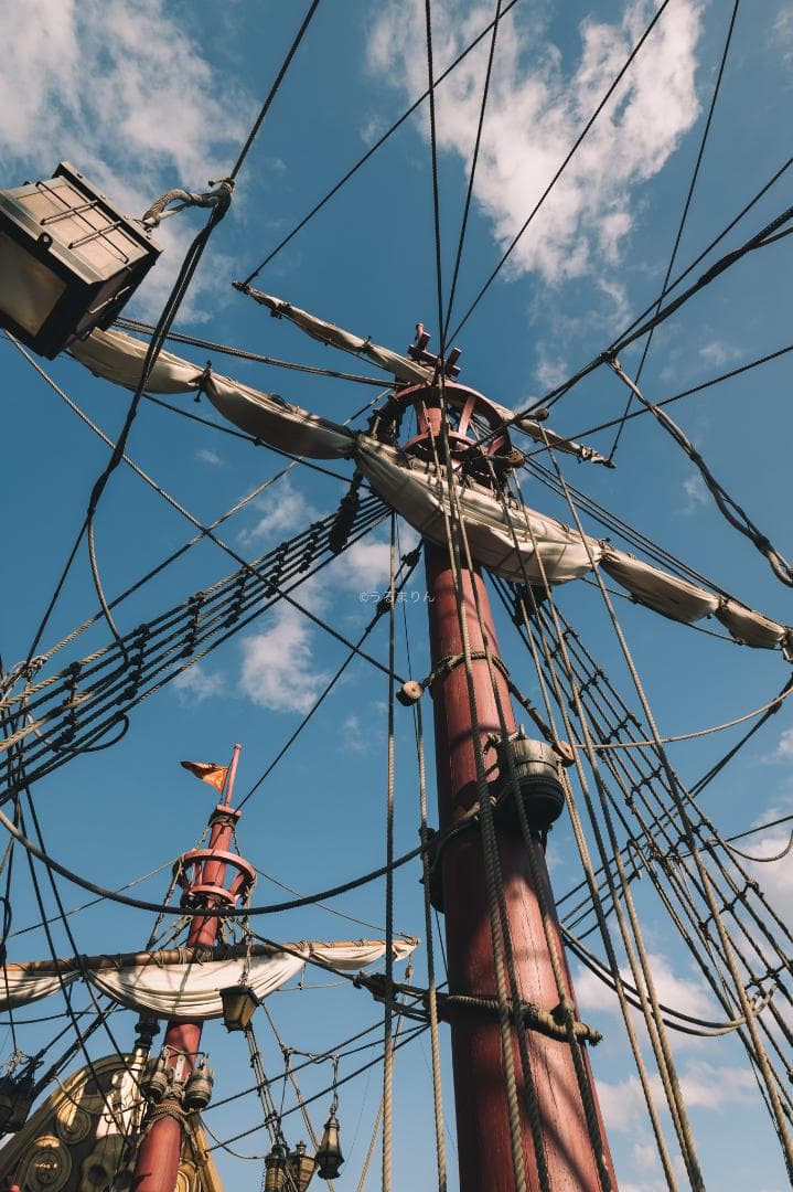 広角20mmの標準ズーム！Panasonic LUMIX S 20-60mm