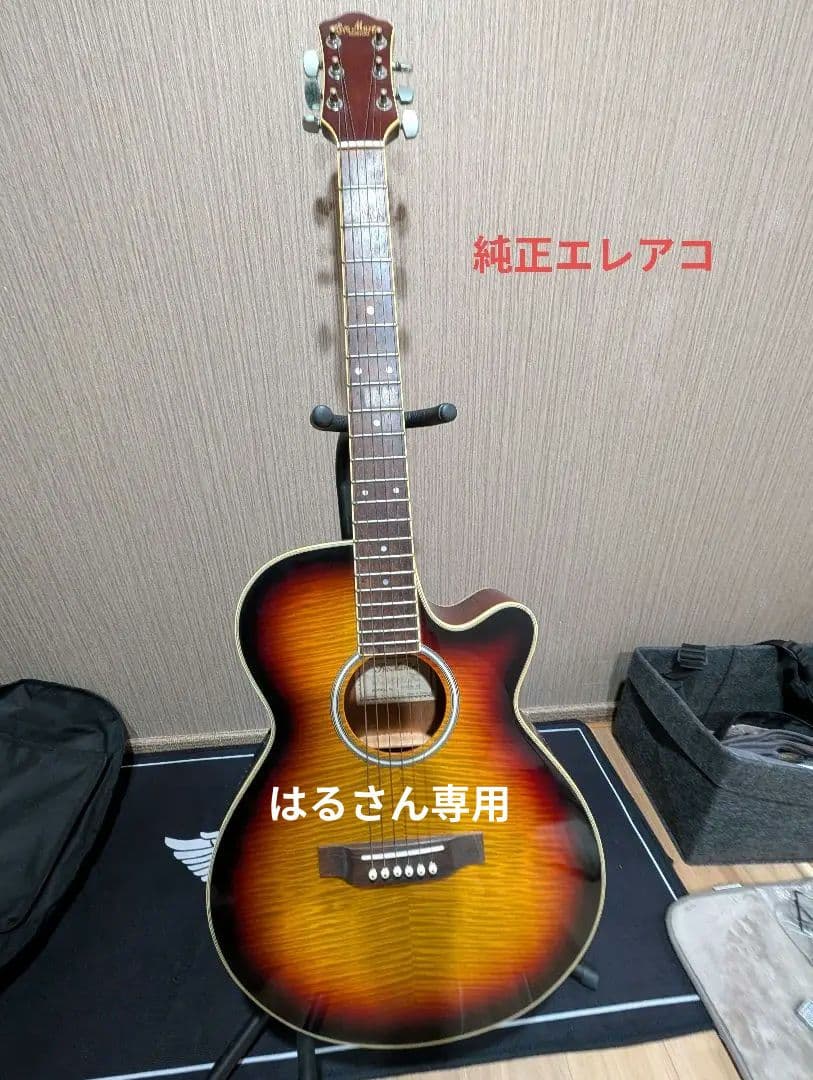 良音/Pro Martin EA500W VS アコースティックギター