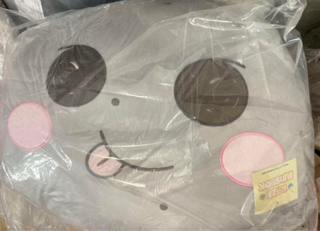 RIIZE ウンソク トルビョン ライズ　中国限定 抱きまくら