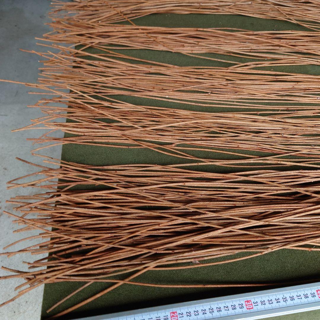 アケビの蔓(根蔓ランナー)