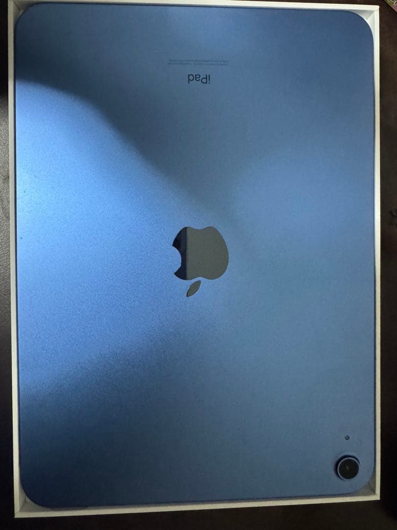 Apple iPad 第10世代 WiFiモデル 本体 ブルー