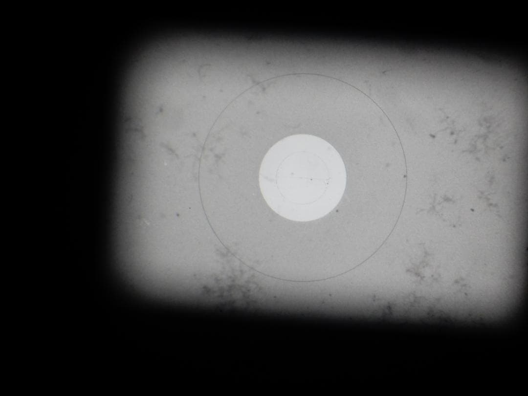 Nikon F2 AS ブラックボディ