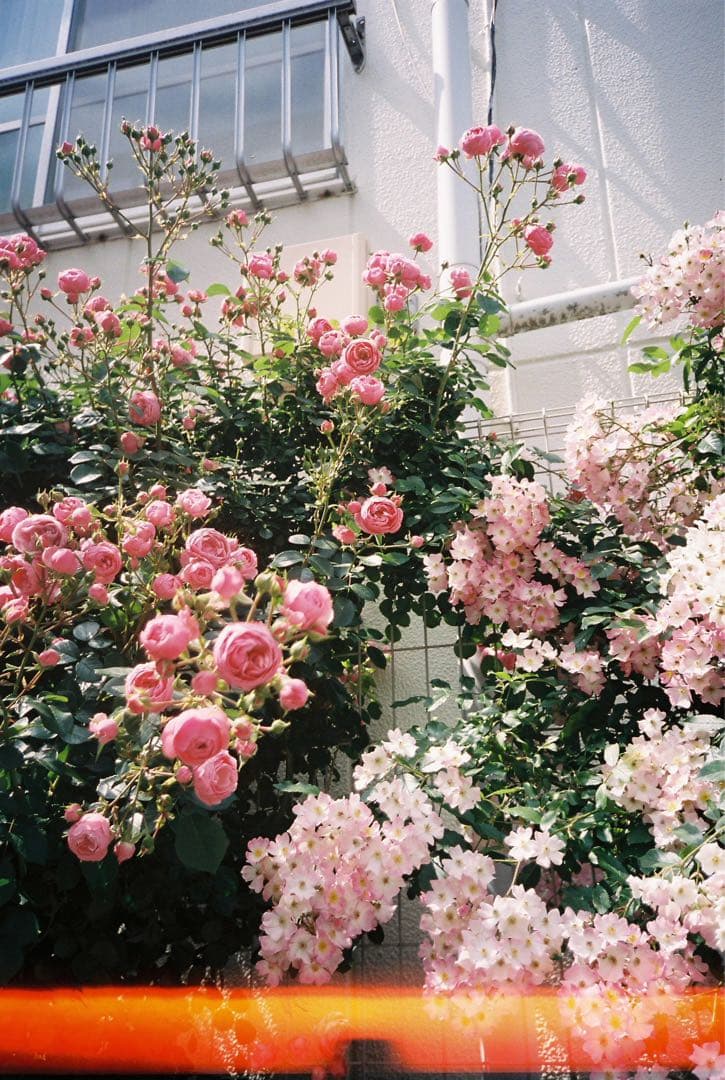 RICOH R1s ジャンク品 電池付き