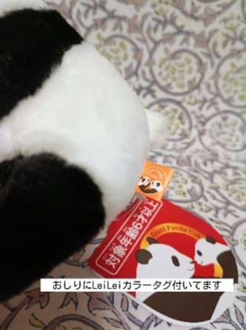 専用　シャオシャオ レイレイ　3点