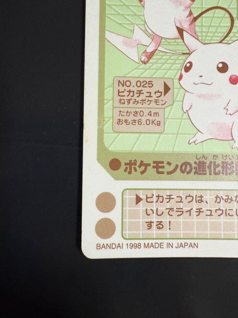 ピカチュウ&ライチュウ　ポケモン　シールダス　EVOLUTION NO4
