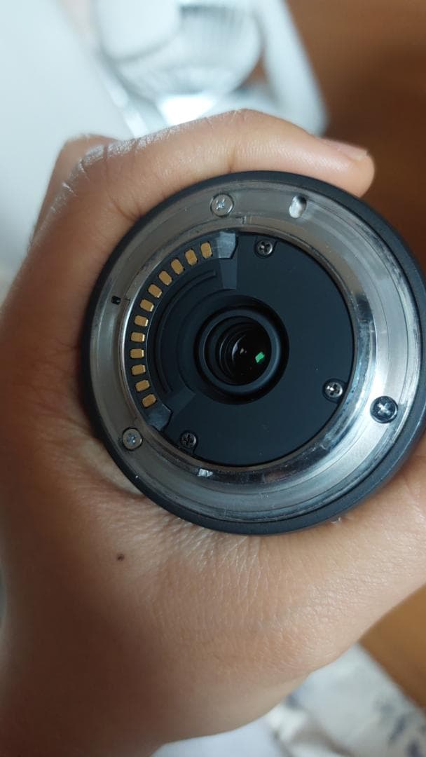 Nikon 1 NIKKOR 30-110mm と FT1マウントアダプター