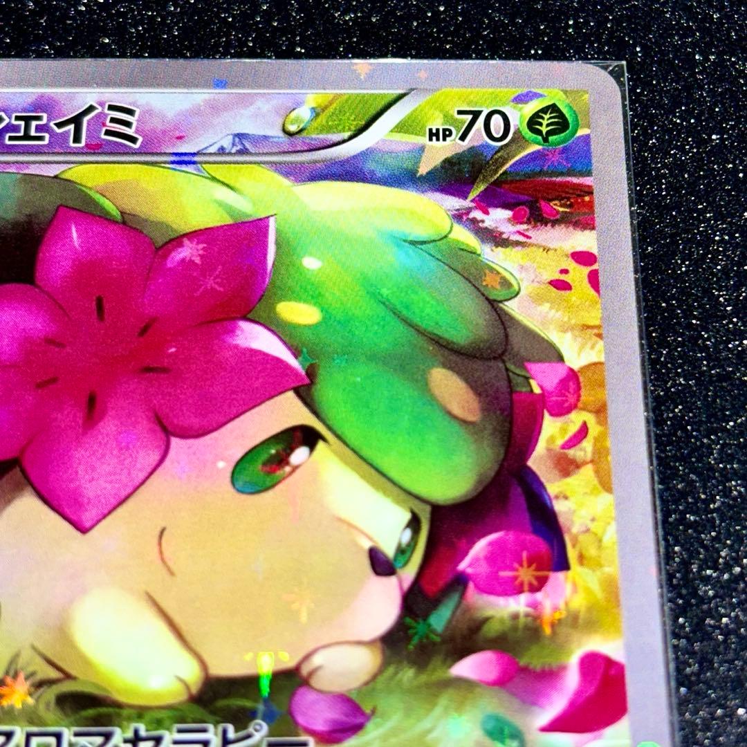 シェイミ CP5 004/036