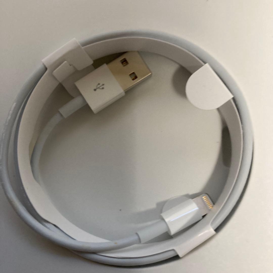 ジャンク　iPad Pro 12.9インチとApple Pencil