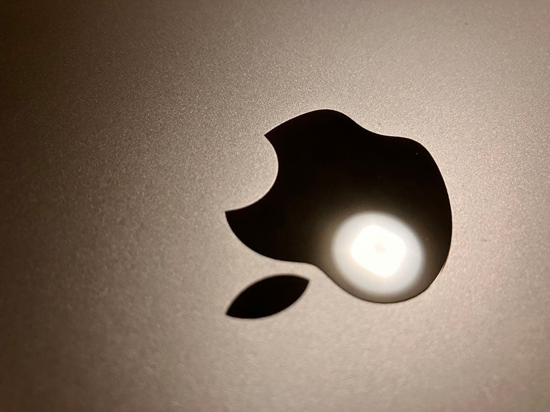 iPad pro 12.9(第4世代) 256GB Cellularモデル