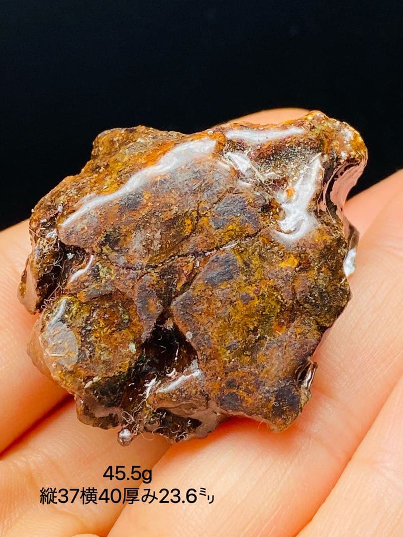メル24344パラサイト隕石　石鉄隕石　セリコ隕石　原石　コーティング済み