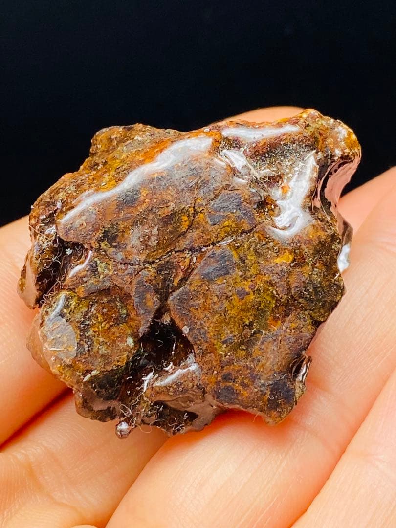 メル24344パラサイト隕石　石鉄隕石　セリコ隕石　原石　コーティング済み