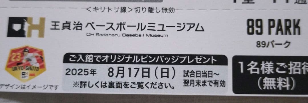 8/17(日)　ソフトバンクVSロッテ戦 みずほプレミアムSSシ―ト♪最前列