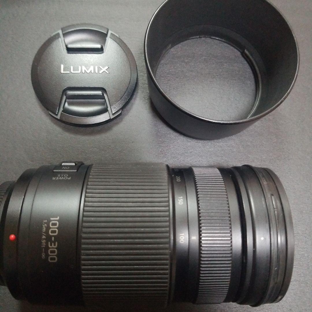 【～4/6値下げ】Panasonic LUMIX VARIO 100-300mm