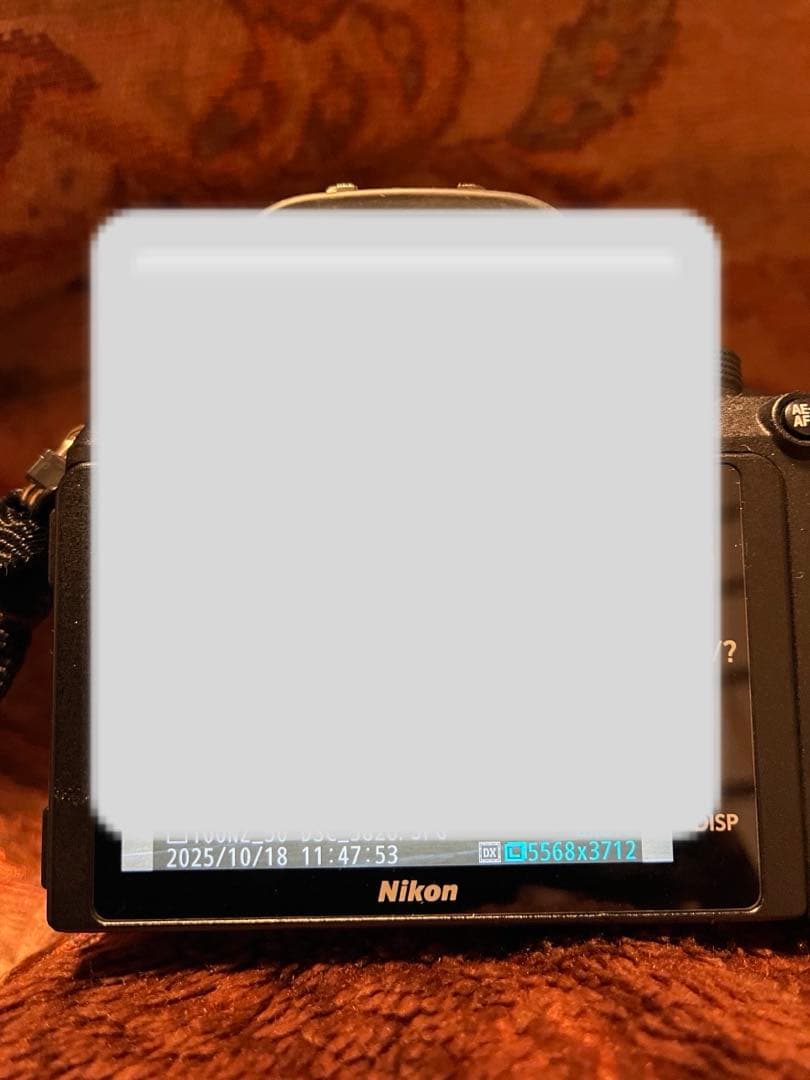 【ミラーレス一眼】NikonZ50 16-50VRレンズキット