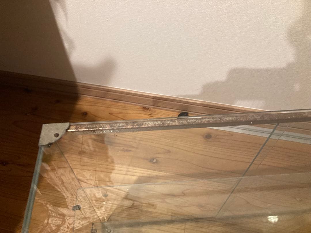 昭和レトロ　ガラスショーケース中棚2段 SANKYO 希少雛壇　背面引戸状態良好