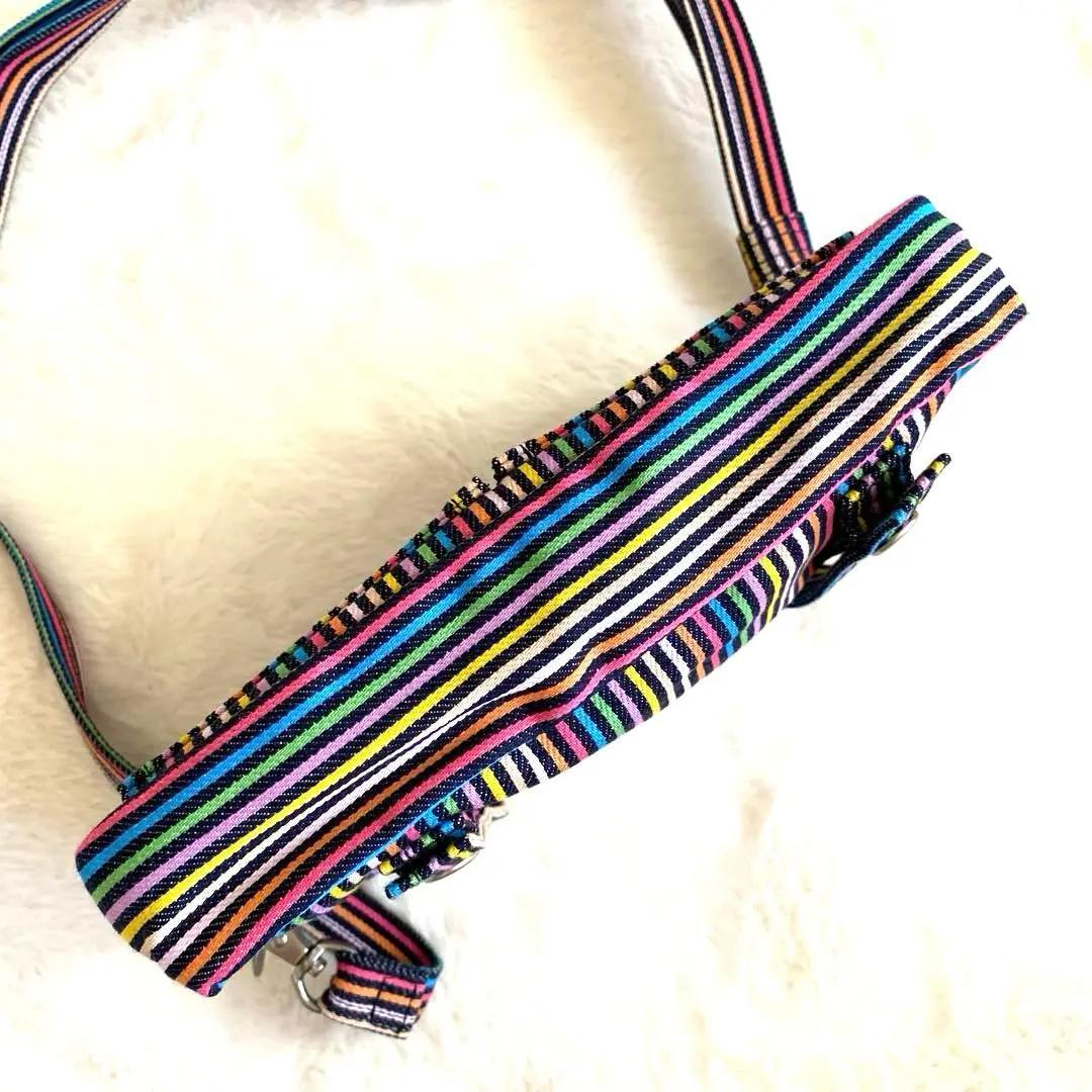 【希少 美品】POTER ×SLAP SHOT レインボーカラー　ウエストポーチ