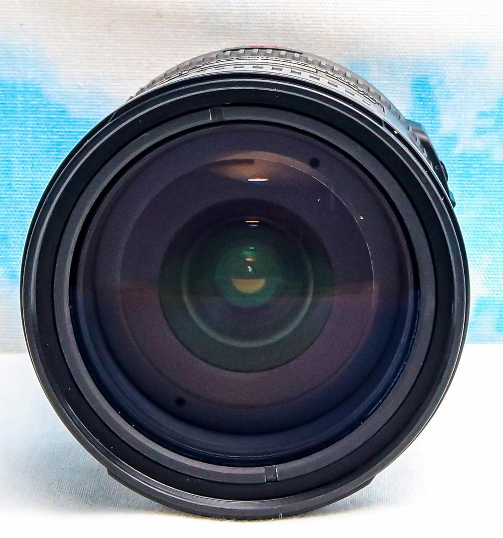 Nikon AF-S 18-200mm VR⭐️手振れ補正付⭐️レンズフード付き