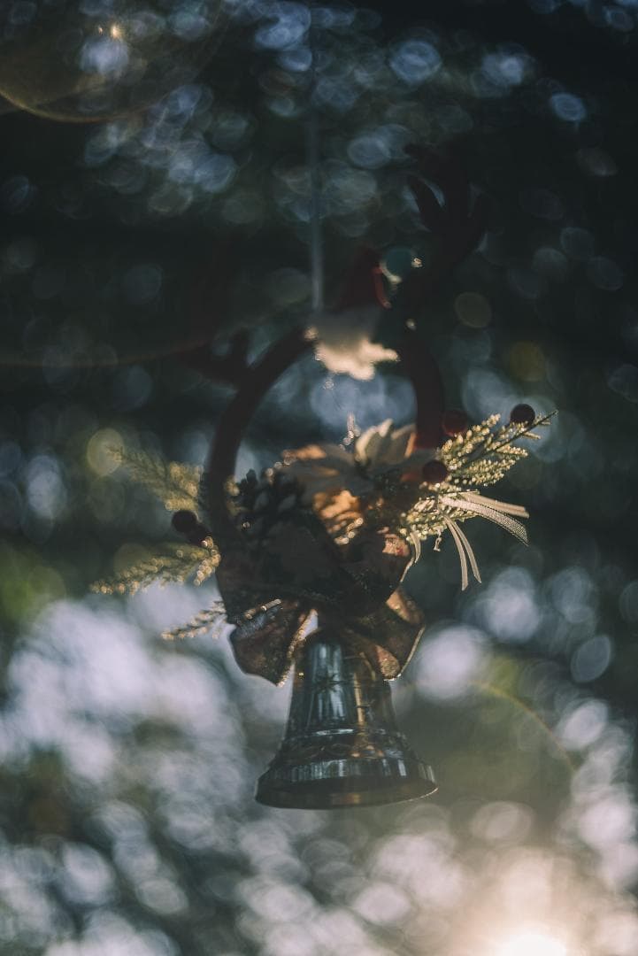 虹の出るライカの癖玉！Leica Summar 50mm F2 オールドレンズ