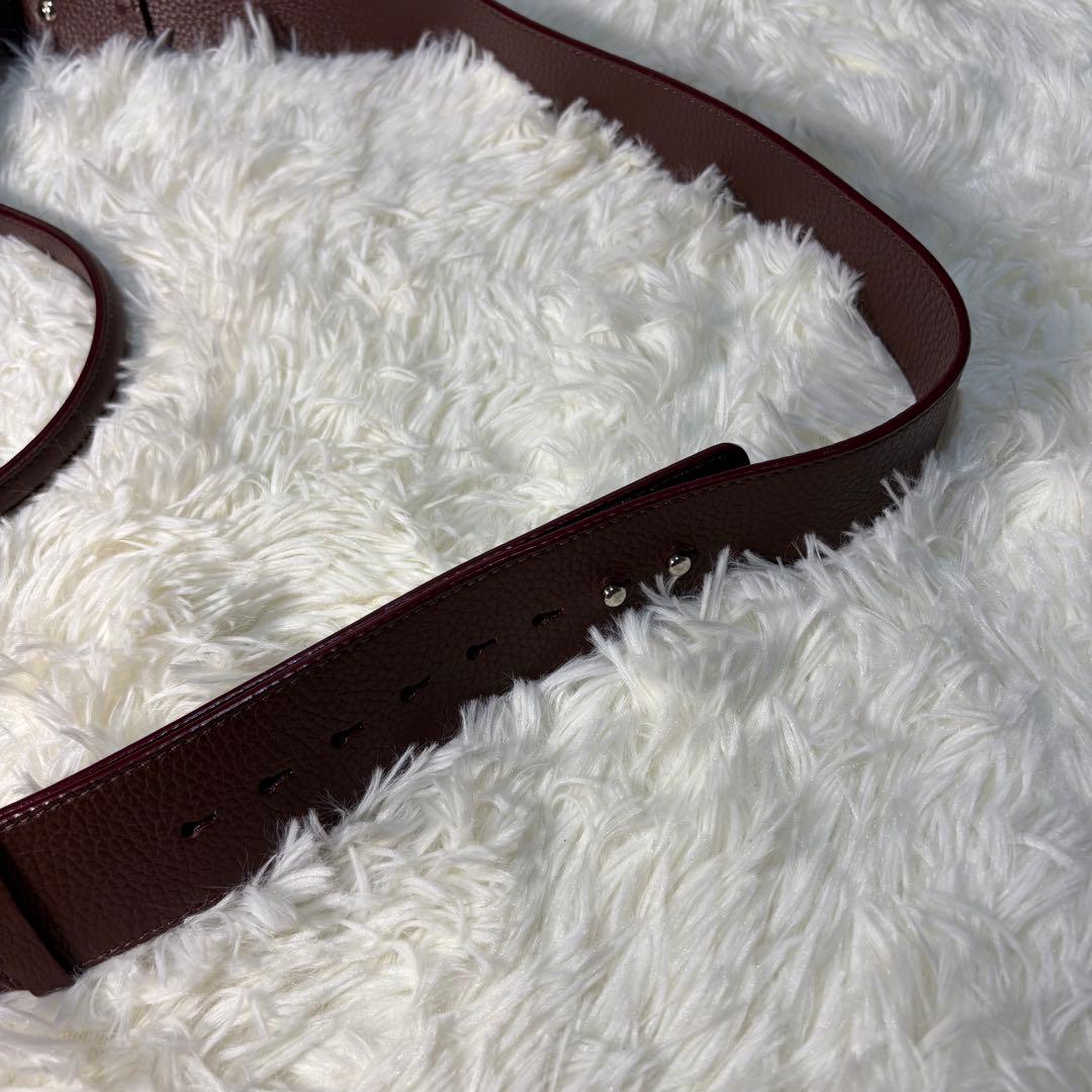 ZANELLATO ニーナ　ハンドバック　2way 保存袋付き