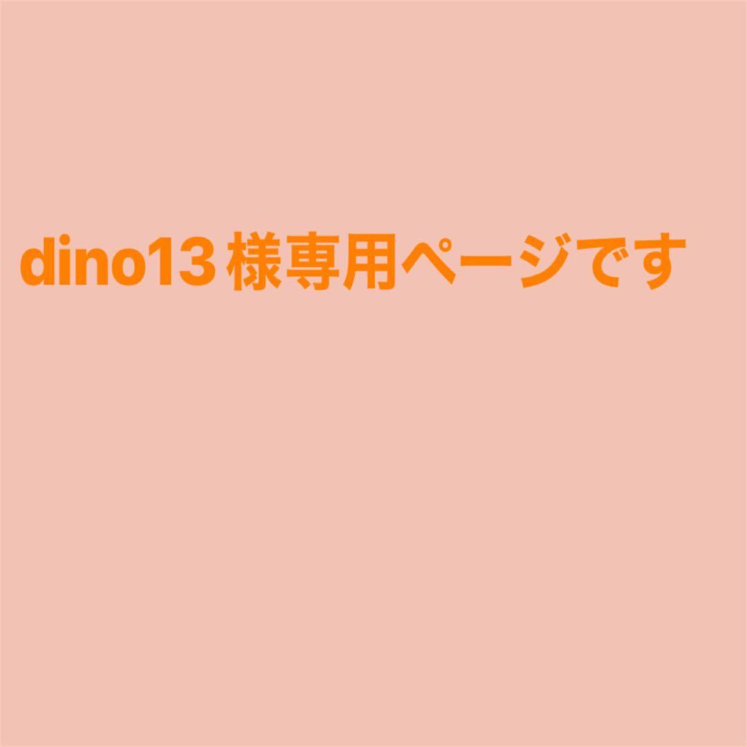 dino13ページです
