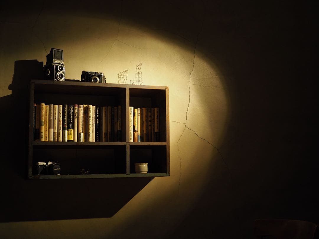 【要コメント】【撮影した写真有】OLYMPUS PEN-F ミラーレス一眼カメラ