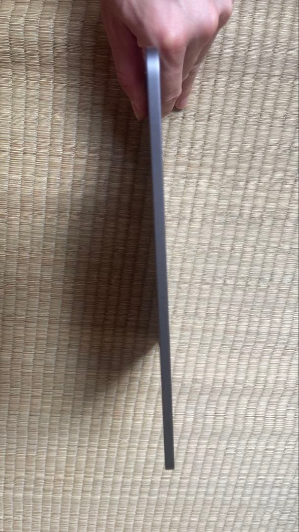 C*a様 Apple iPad Pro M１(ジャンク)