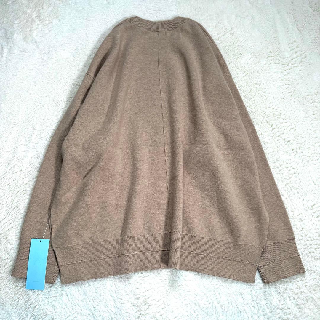 【新品】組曲 カシミヤ混 スムースニット スウェット ベージュ 6 大きいサイズ