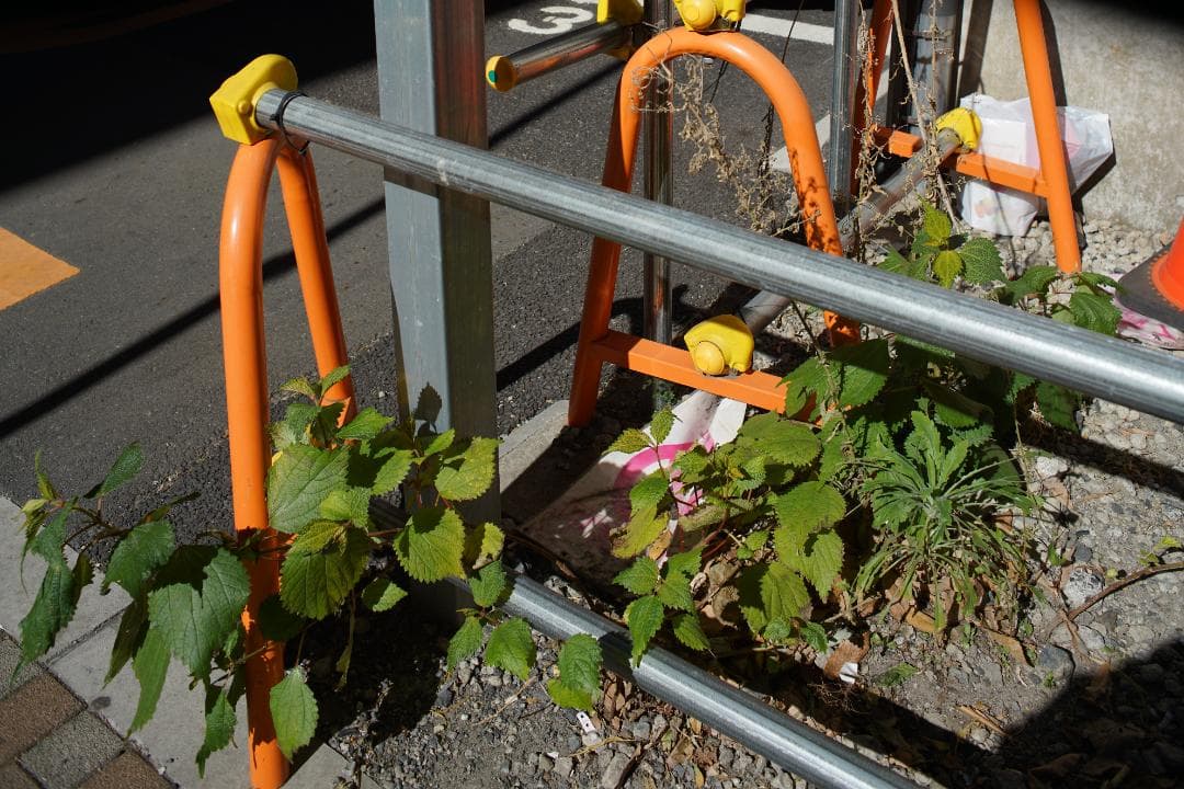 レンズ(単焦点) Nikon pc Nikkor 35mm F2.8