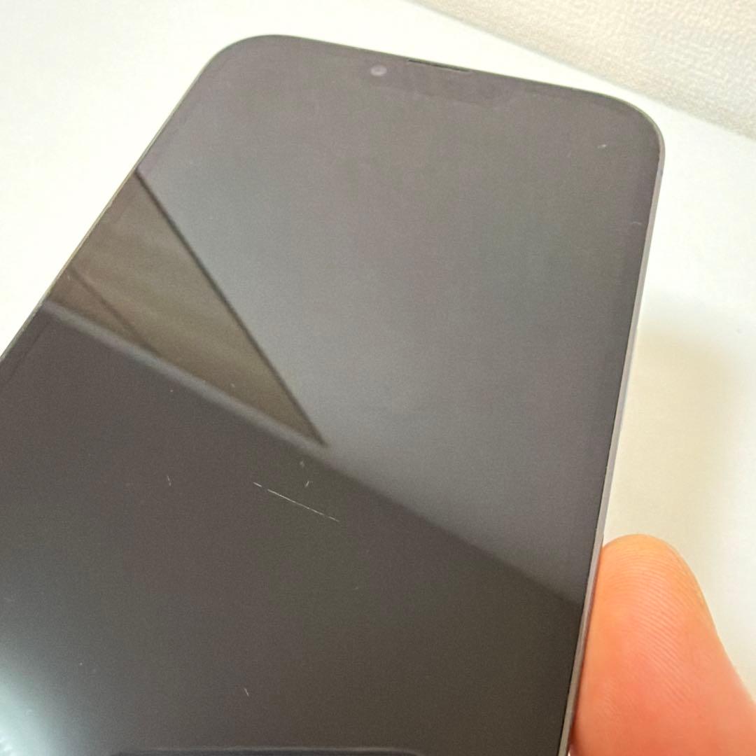 【ケース＆純正ケーブル付】iPhone13 Pro Max シエラブルー 256