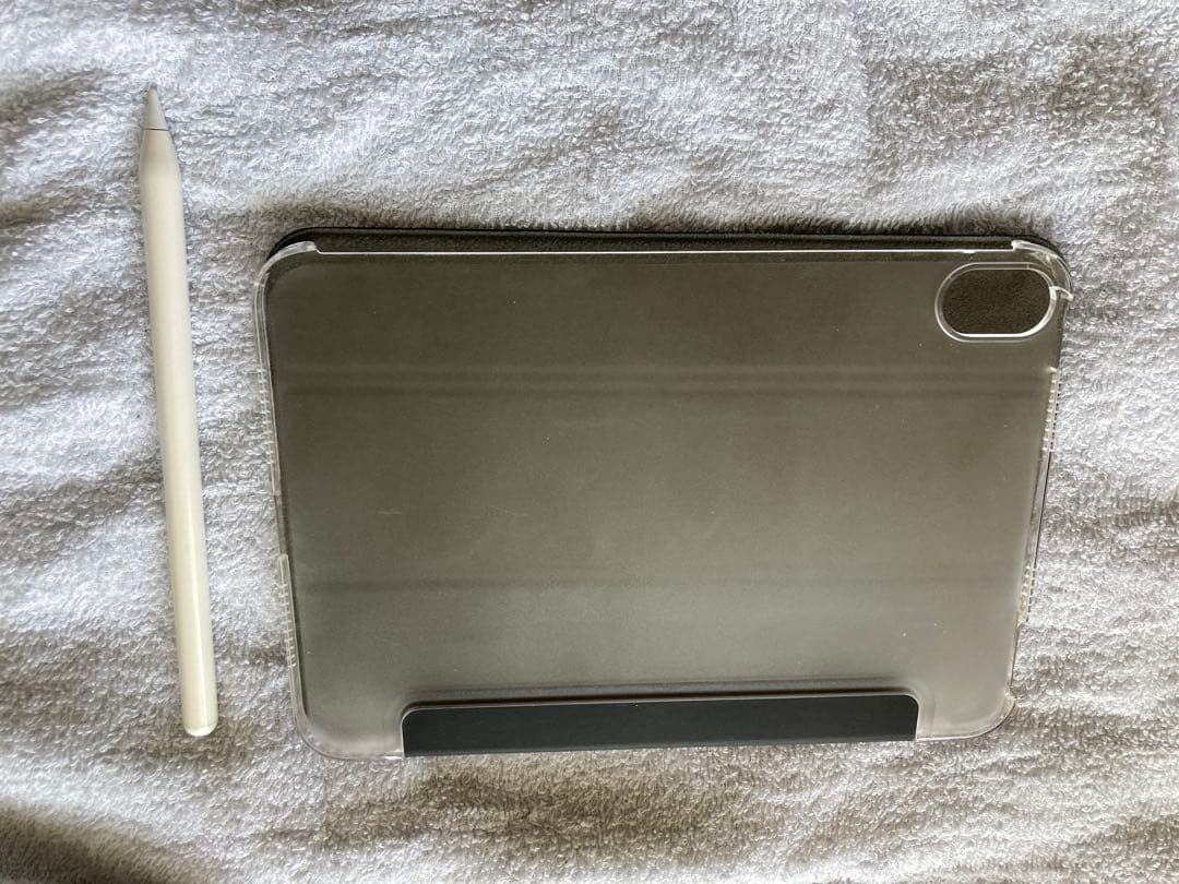 iPad本体 ipad mini 64GB Wi-Fi + Cellular