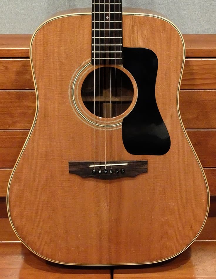 NASHVILLE N-50D TAHARA 爆鳴り 希少ジャパンビンテージ