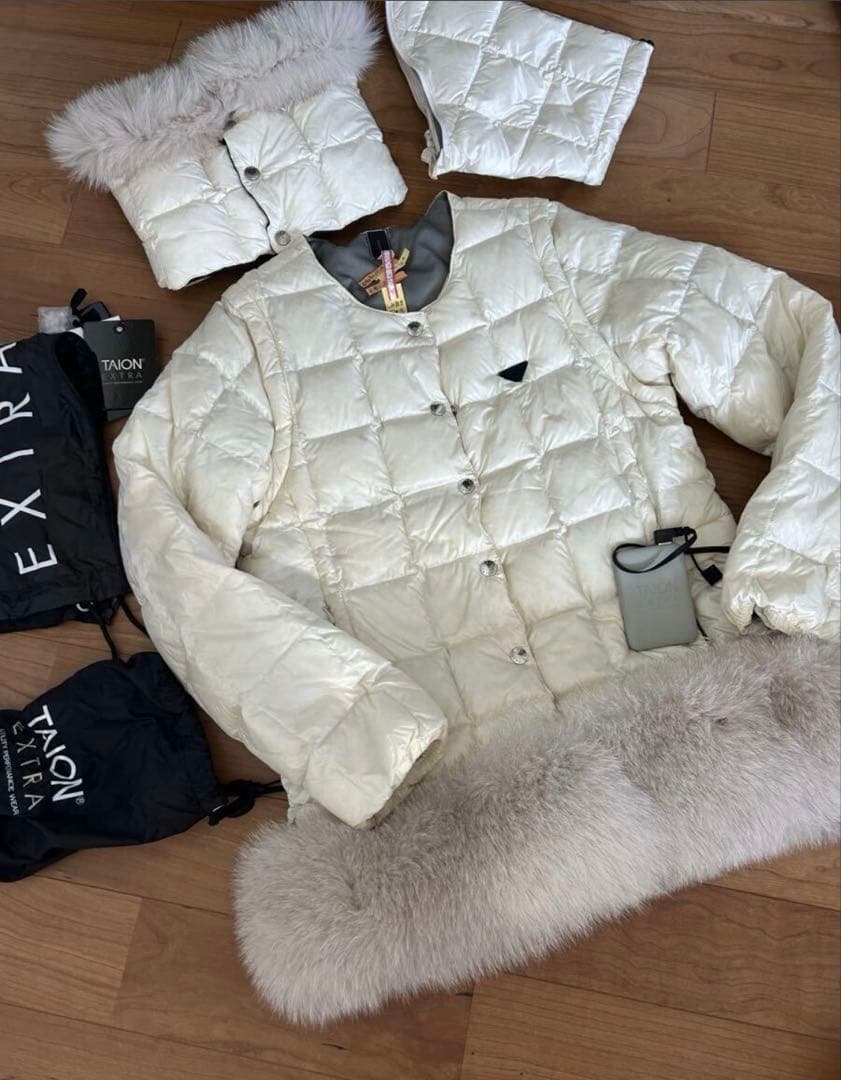 TAION エクストラ　ダウン　L クリーニング済み　ファー バッテリー付き