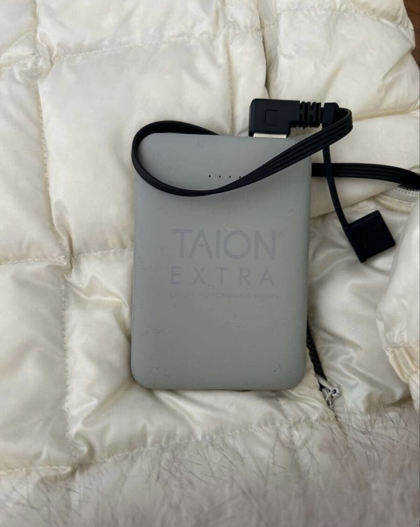 TAION エクストラ　ダウン　L クリーニング済み　ファー バッテリー付き