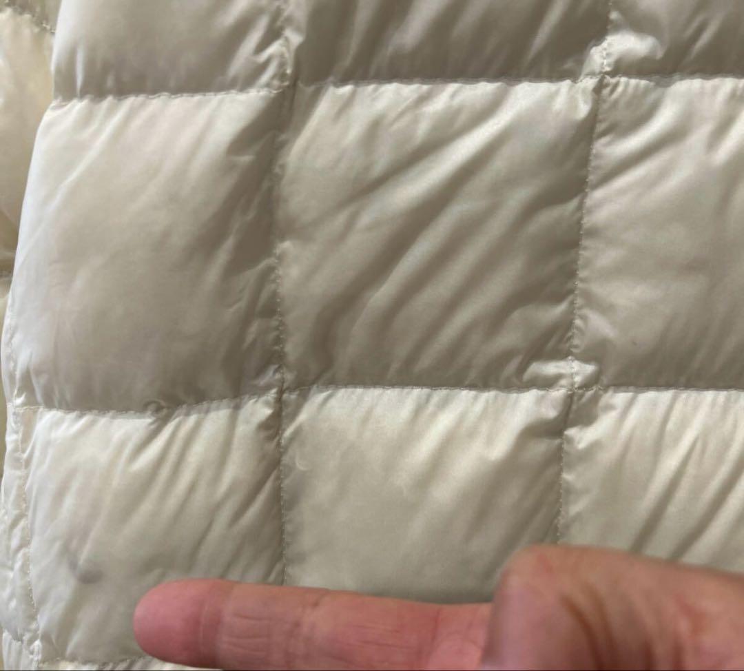 TAION エクストラ　ダウン　L クリーニング済み　ファー バッテリー付き