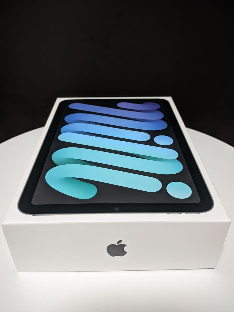 V*H様 Apple iPad mini (第6世代) 64GB スペースグレー