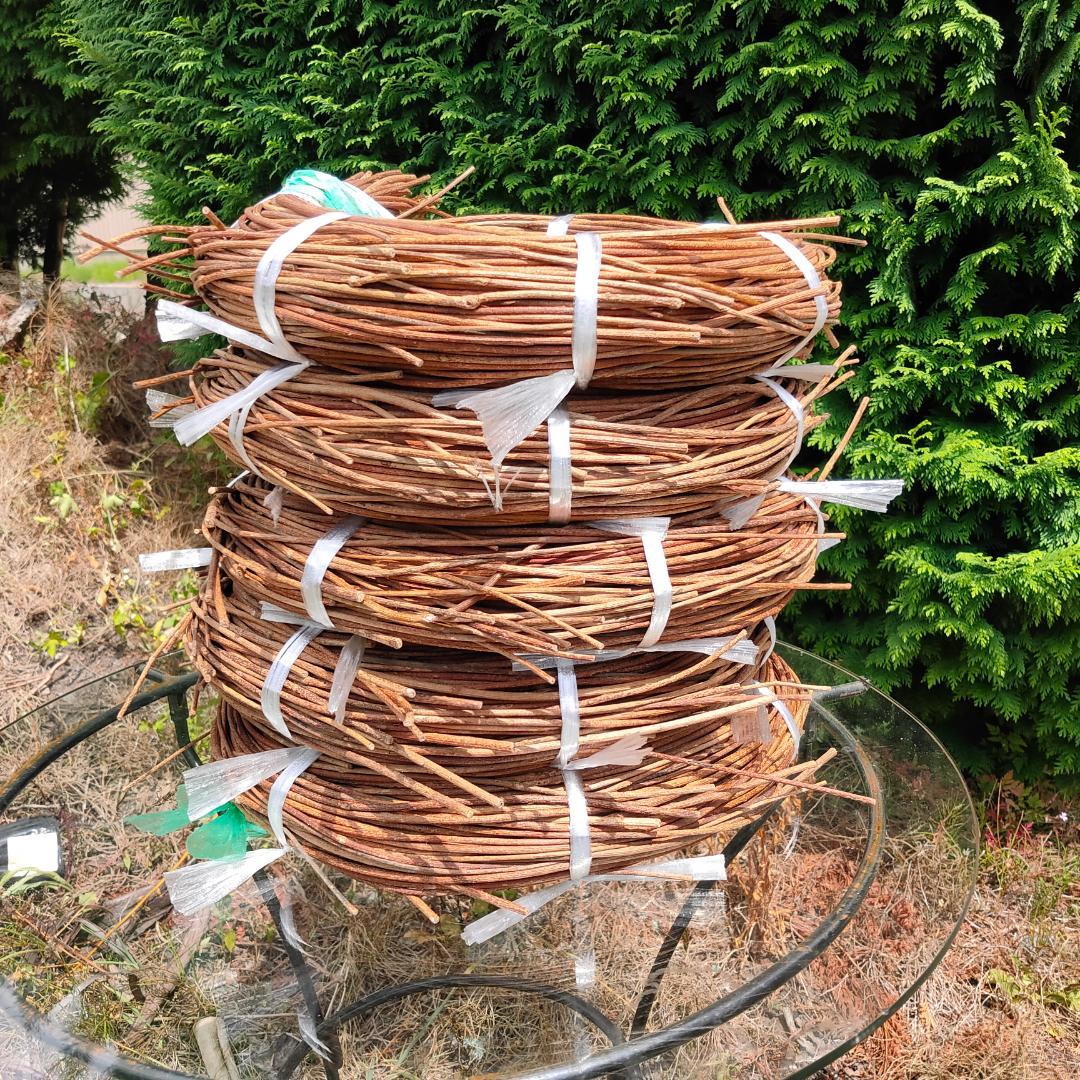 hkeplk　青森岩木山採取　あけび蔓　150cm～ 5kg