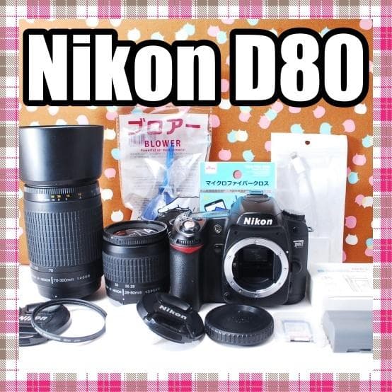 ✨ショット数6395回✨初心者オススメ✨Nikon D80 ダブルレンズセット