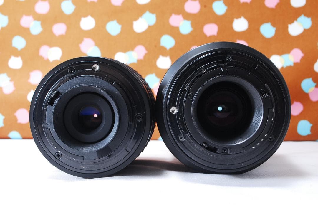 ✨ショット数6395回✨初心者オススメ✨Nikon D80 ダブルレンズセット