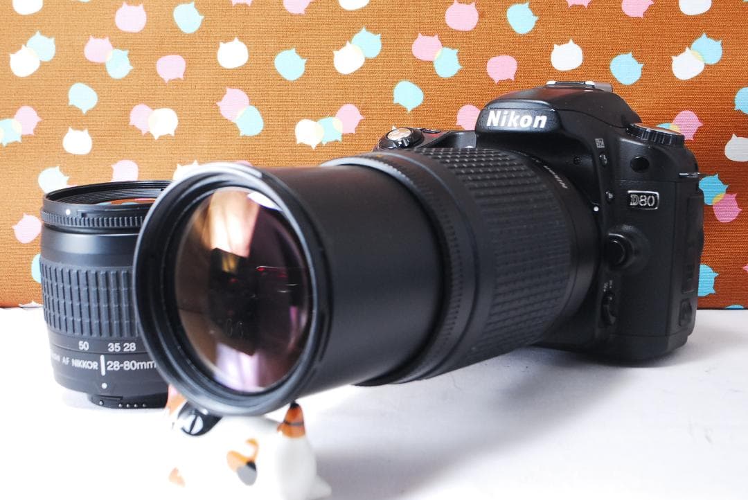 ✨ショット数6395回✨初心者オススメ✨Nikon D80 ダブルレンズセット