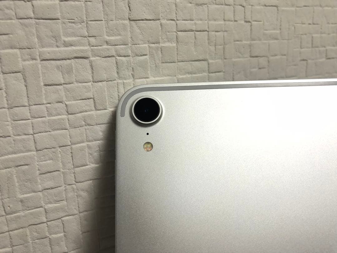 iPad Pro 11インチ(第1世代）Wi-Fi モデル　256GB N.24