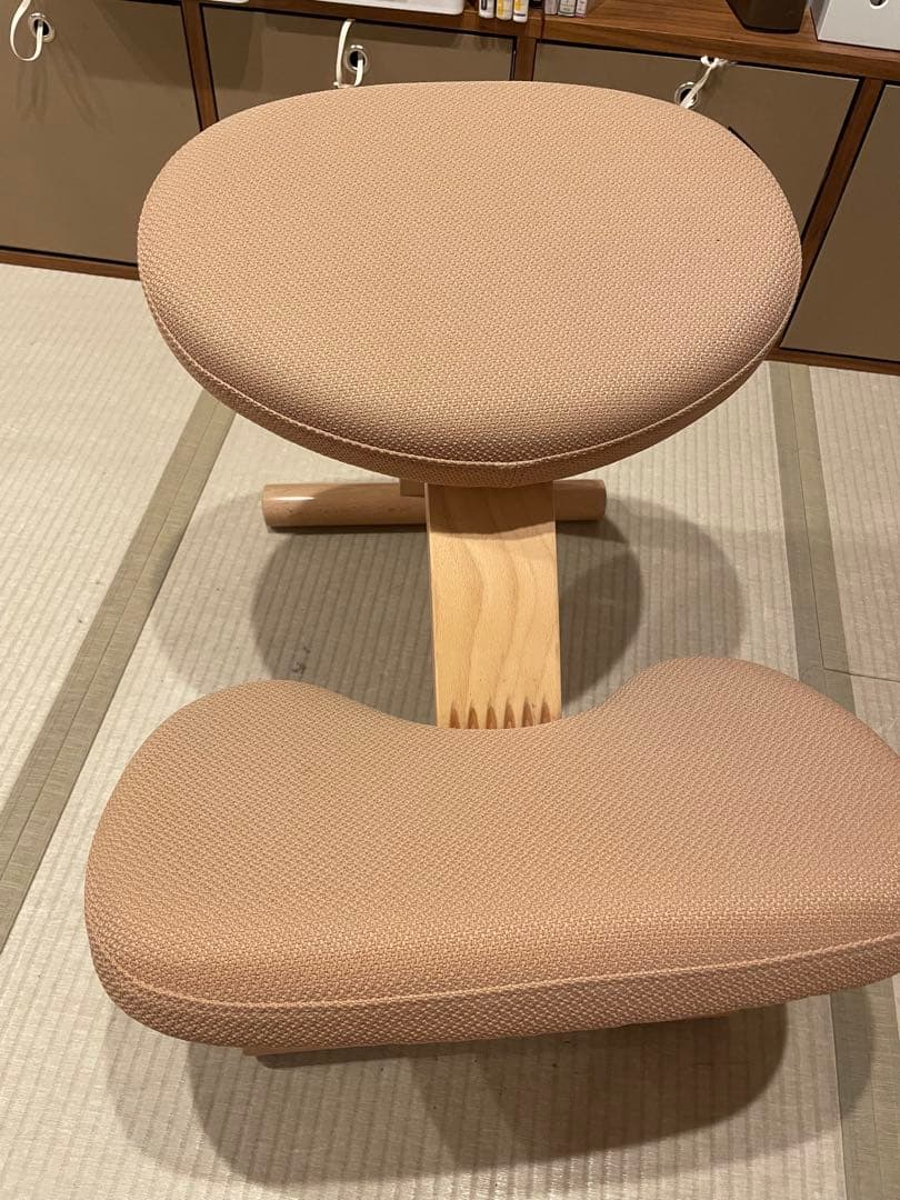 hana＊ バランスイージー　本体ベージュ、カバー　ピンク