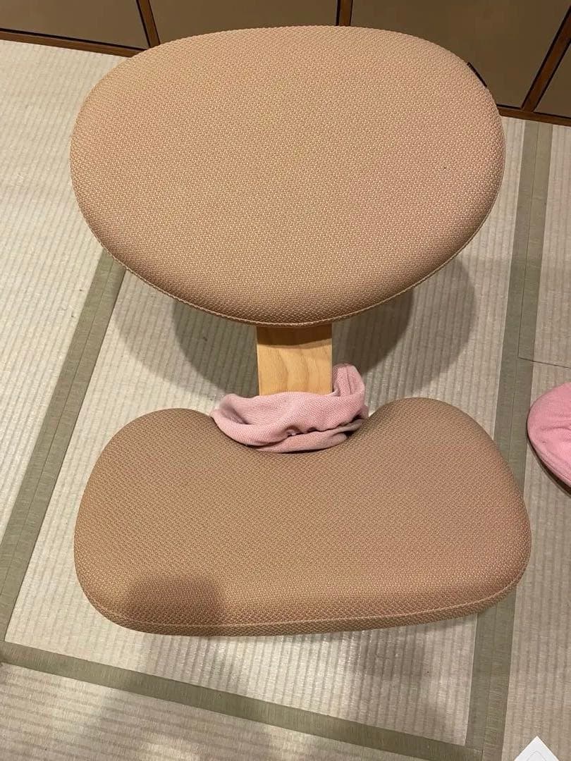 hana＊ バランスイージー　本体ベージュ、カバー　ピンク