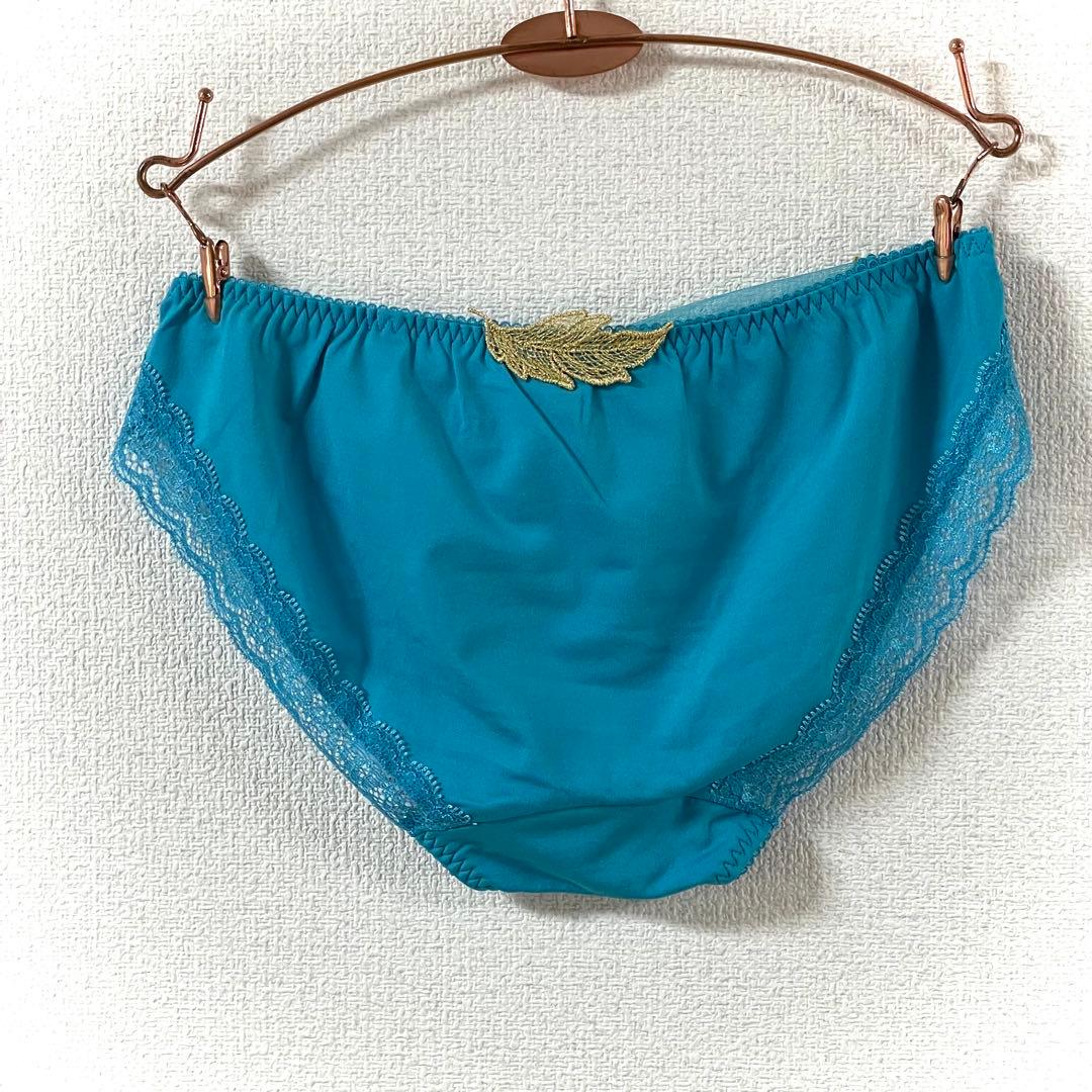 ワコール サルート 71G リボンブラ G70M