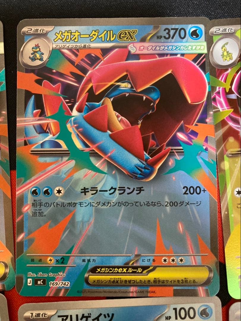 メガオーダイルex2枚　メガメガニウム1枚　+進化ライン