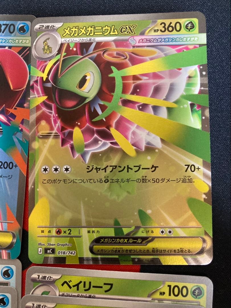 メガオーダイルex2枚　メガメガニウム1枚　+進化ライン