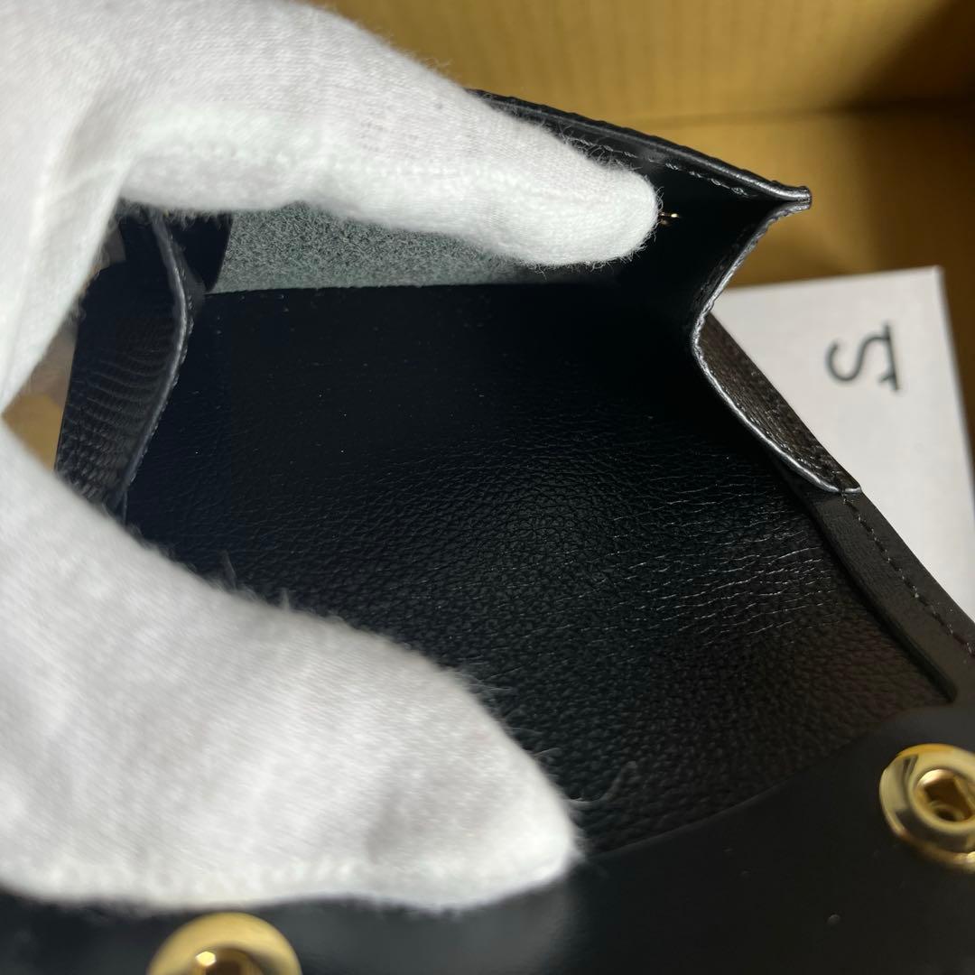 ワイルドスワンズ　タング　リザード　ブラック