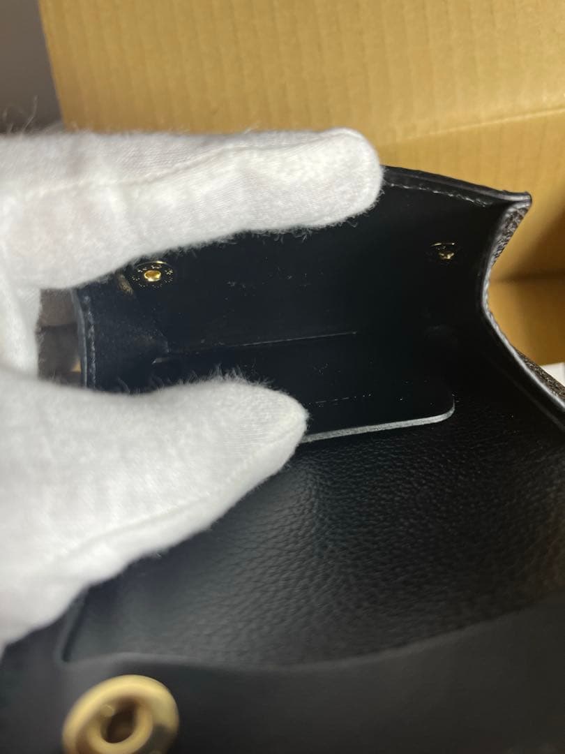 ワイルドスワンズ　タング　リザード　ブラック