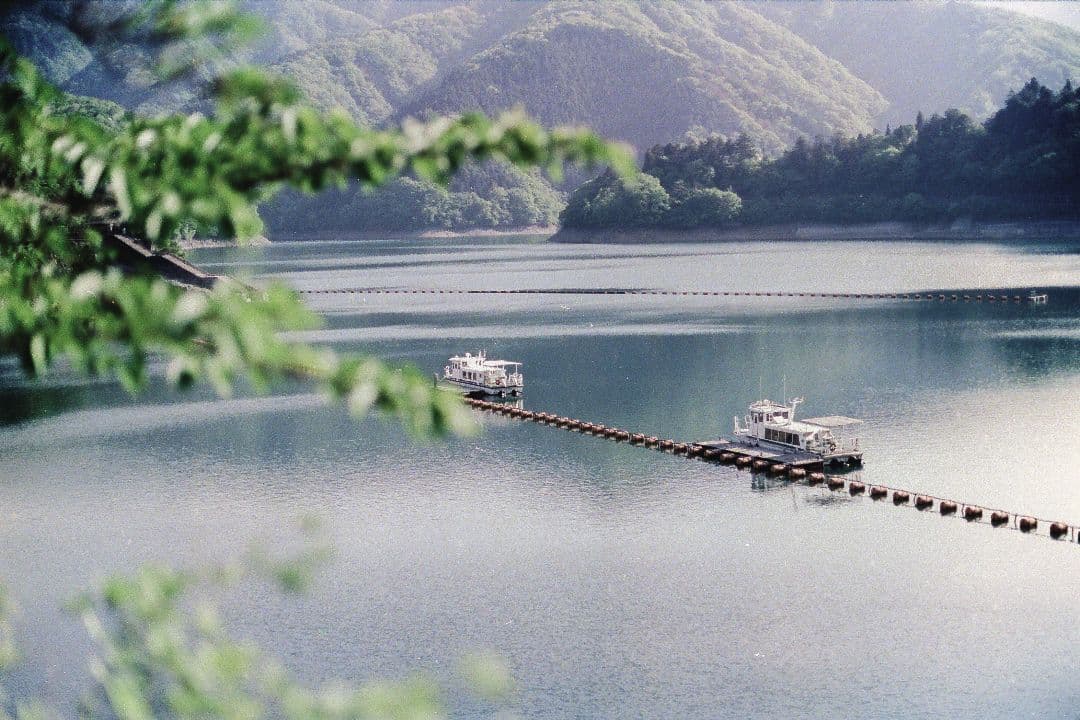 [整備済み］NikonニコンF5 　フィルムカメラ AE AF