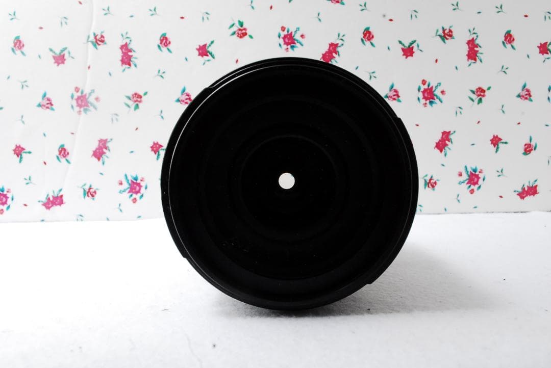 手振れ補正Canon❤️18-270mm❤️超万能❤️ズームレンズ ❤️キャノン