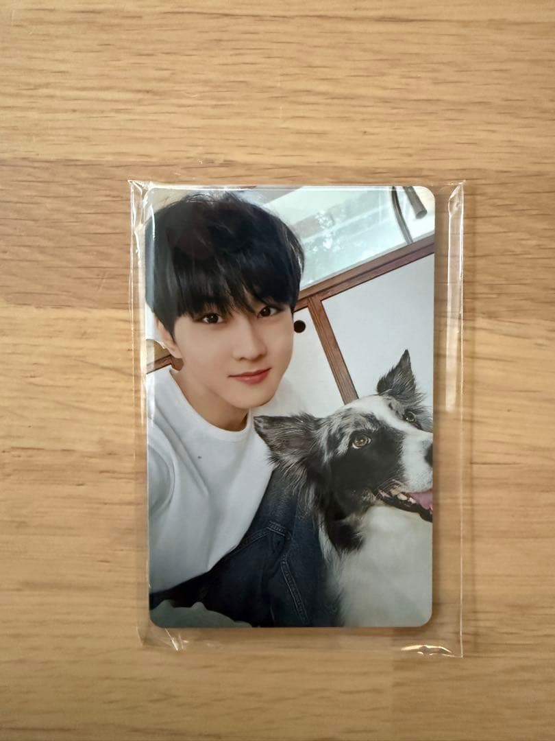 ENHYPENアンケートトレカ2025 ジョンウォン